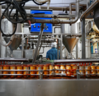 Food Processing Industries