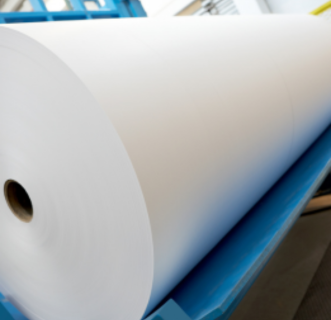 Paper and Pulp Industries