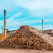 Processing & Manufacturing