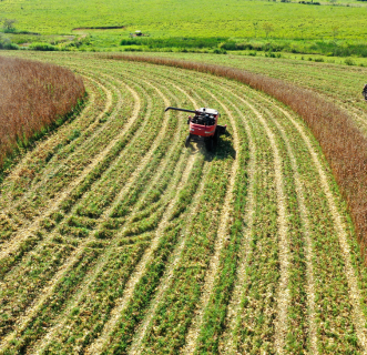 Agro-Based Industries